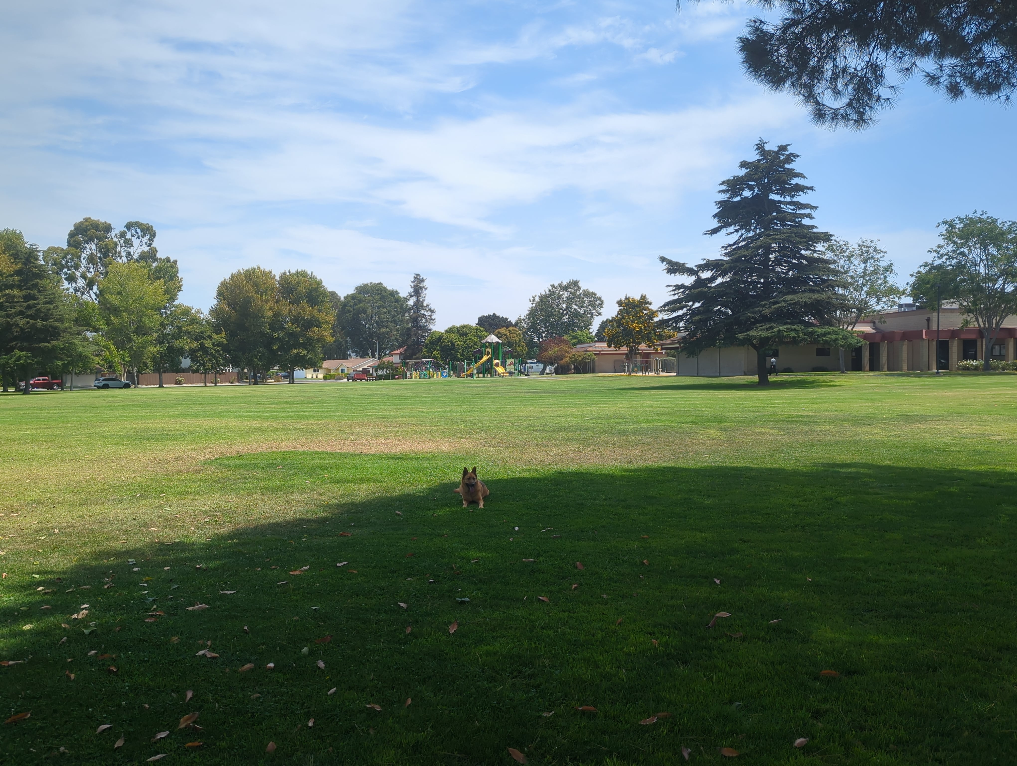 Community Center Park